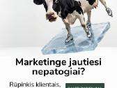 IT sprendimai, svetainės, eshop - nuoma nuo 150€ - nuotraukos Nr. 4
