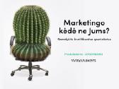 IT sprendimai, svetainės, eshop - nuoma nuo 150€ - nuotraukos Nr. 2