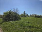 Žemės sklypas 0.5 ha - nuotraukos Nr. 3