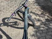 Orbea Rallon 2024 - nuotraukos Nr. 11