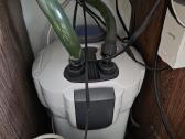 Akvariumas 200ltr - nuotraukos Nr. 3