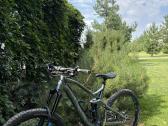 Canyon Strive AL - nuotraukos Nr. 3