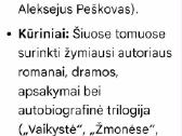 Gorkis - nuotraukos Nr. 4