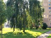 Didelis kambarys studentui vaikinui Eiguliai, Ši - nuotraukos Nr. 11