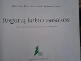 Raganų kalnas pasakos - nuotraukos Nr. 3
