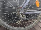 Dviratis Drag Ontario Team Edition - nuotraukos Nr. 2
