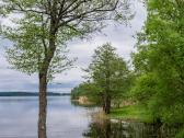 Mekų Slėnis ant Antalieptės marių kranto - nuotraukos Nr. 15
