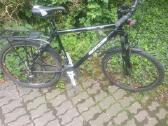 Sloope Ctx 70 - nuotraukos Nr. 16