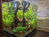 Akvariumas Aquael Optibent 70 - nuotraukos Nr. 2
