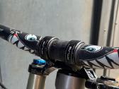 Nukeproof scalp downhill - nuotraukos Nr. 12
