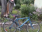 Johnson Voyager 26 dviratis, 21 Shimano pavara - nuotraukos Nr. 4