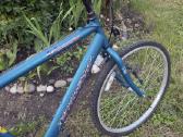 Johnson Voyager 26 dviratis, 21 Shimano pavara - nuotraukos Nr. 8