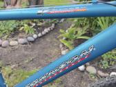 Johnson Voyager 26 dviratis, 21 Shimano pavara - nuotraukos Nr. 10