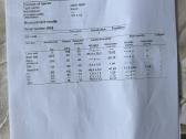 Bmw purkštukai: 0445116, - nuotraukos Nr. 8