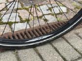 Bulls Cross lite EVO ebike - nuotraukos Nr. 10