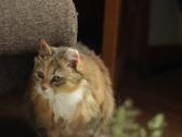 Princesė, 5m. - nuotraukos Nr. 9