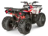 Kayo Au110 110cc vaikiškas keturratis automatas - nuotraukos Nr. 5