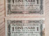 Kopūstlapiai - nuotraukos Nr. 11