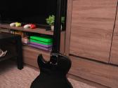 Cort Cr50 elektrinė gitara - nuotraukos Nr. 8