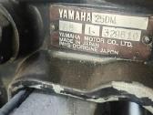 Yamaha 25 - nuotraukos Nr. 2