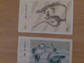 Parduodu 1ir3 talonus - nuotraukos Nr. 2