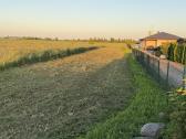Mulčeris ,padagas - nuotraukos Nr. 2