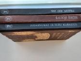 Piemenuk ir elfų karalius, Šaltoji širdis. Trys ge - nuotraukos Nr. 25