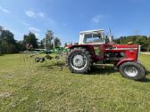 Massey Ferguson 595 - nuotraukos Nr. 10