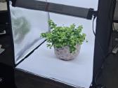 Samtian 60 60 60 cm LED fotodėžė + 8 fonai - nuotraukos Nr. 4