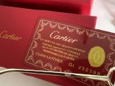 Cartier akiniai - nuotraukos Nr. 7