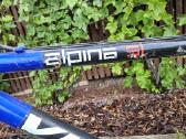 Alpina 51 dviratis Turi Defektų - nuotraukos Nr. 8