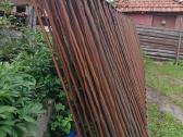 Parduodu vamzdžių gyvatukus - nuotraukos Nr. 3