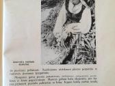 Žurnalas "Naujoji Vaidilutė" 1933m.-1940m. - nuotraukos Nr. 5