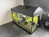 Aquael leddy 40 akvariumas - nuotraukos Nr. 2