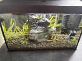 Aquael leddy 40 akvariumas - nuotraukos Nr. 3