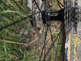 Trek Gravel M - nuotraukos Nr. 4