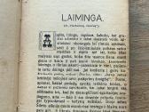 Elzės Ožeškienės raštai. 2 tomas. 1929 m. - nuotraukos Nr. 3