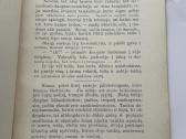 Žiemos Vakaras 1912 m. - nuotraukos Nr. 3