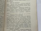 Žiemos Vakaras 1912 m. - nuotraukos Nr. 4
