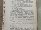 Žiemos Vakaras 1912 m. - nuotraukos Nr. 7