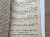 Vadovėlis Lietuvių kalbos pasimokyti 1920 m. - nuotraukos Nr. 5