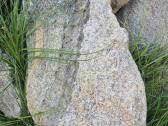 Parduodami akmenys - nuotraukos Nr. 5