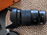 Sony E Pz 18-105 F4 G Oss - nuotraukos Nr. 15