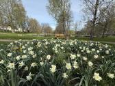 2 k. Butas Ariogaloje (Melioratorių g.) - nuotraukos Nr. 10