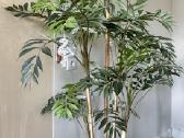 Didelė vešli dirbtinė palmė, 170 cm - nuotraukos Nr. 2
