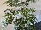 Didelė vešli dirbtinė palmė, 170 cm - nuotraukos Nr. 3