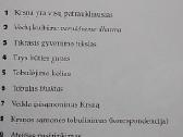Tobuli klausimai tobuli atsakymai - nuotraukos Nr. 3