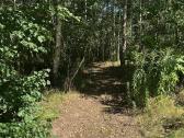 3,23 ha sklypas su namu ir 124 m. Neries pakrante - nuotraukos Nr. 14