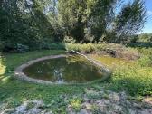 3,23 ha sklypas su namu ir 124 m. Neries pakrante - nuotraukos Nr. 15