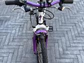 Dviratis Specialized - nuotraukos Nr. 2